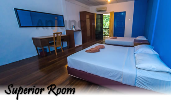 Superior room arwana