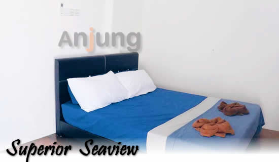 nemo perhentian superior room