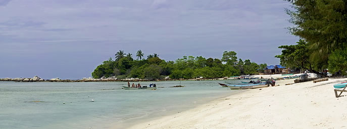 The Reef Perhentian