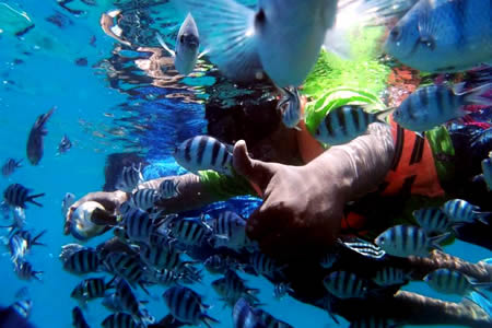 snorkeling perhentian